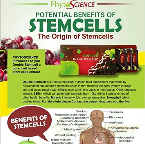 PhytoScience PhytoCellTec Apple Grape Double Stem Cell Powder 12