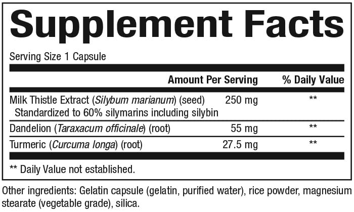 Natural Factors Milk Thistle Extract 250 mg Capsules, 90 Count