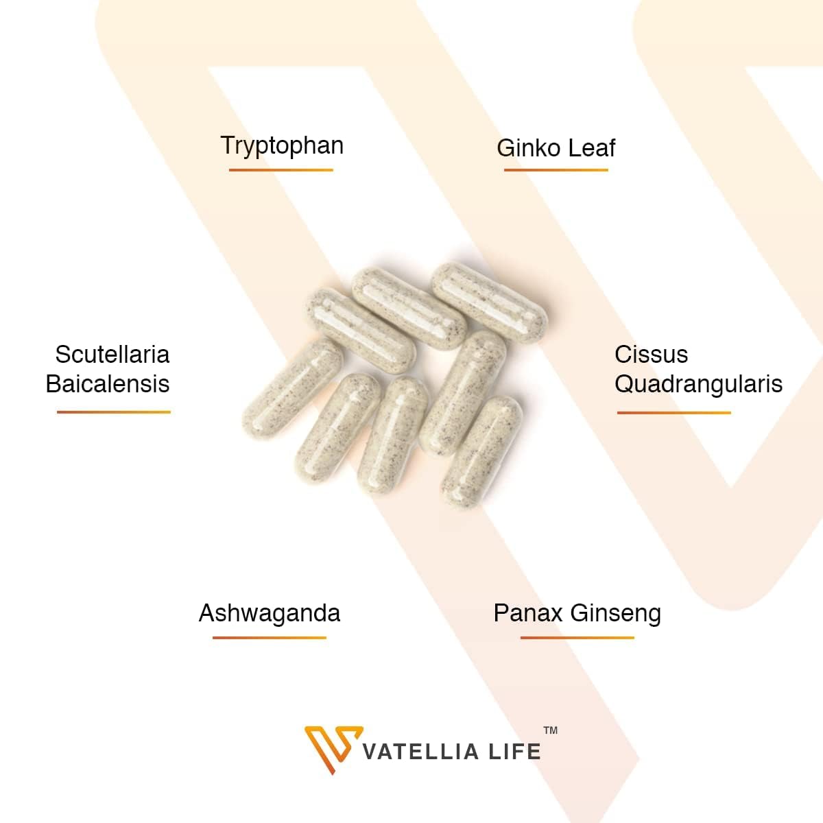 Vatellia Life Daily Zen Ashwagandha Supplement Capsule 1 Count