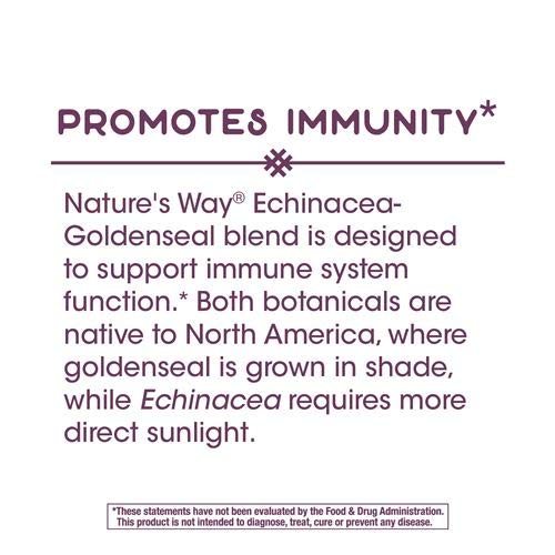 Nature's Way Echinacea Goldenseal Root Capsules 100 Count