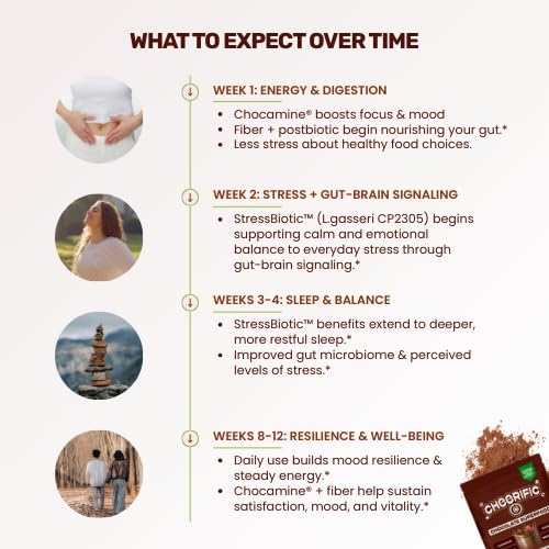 Cheerific Dark Chocolate Superfood Powder, 9.52 oz