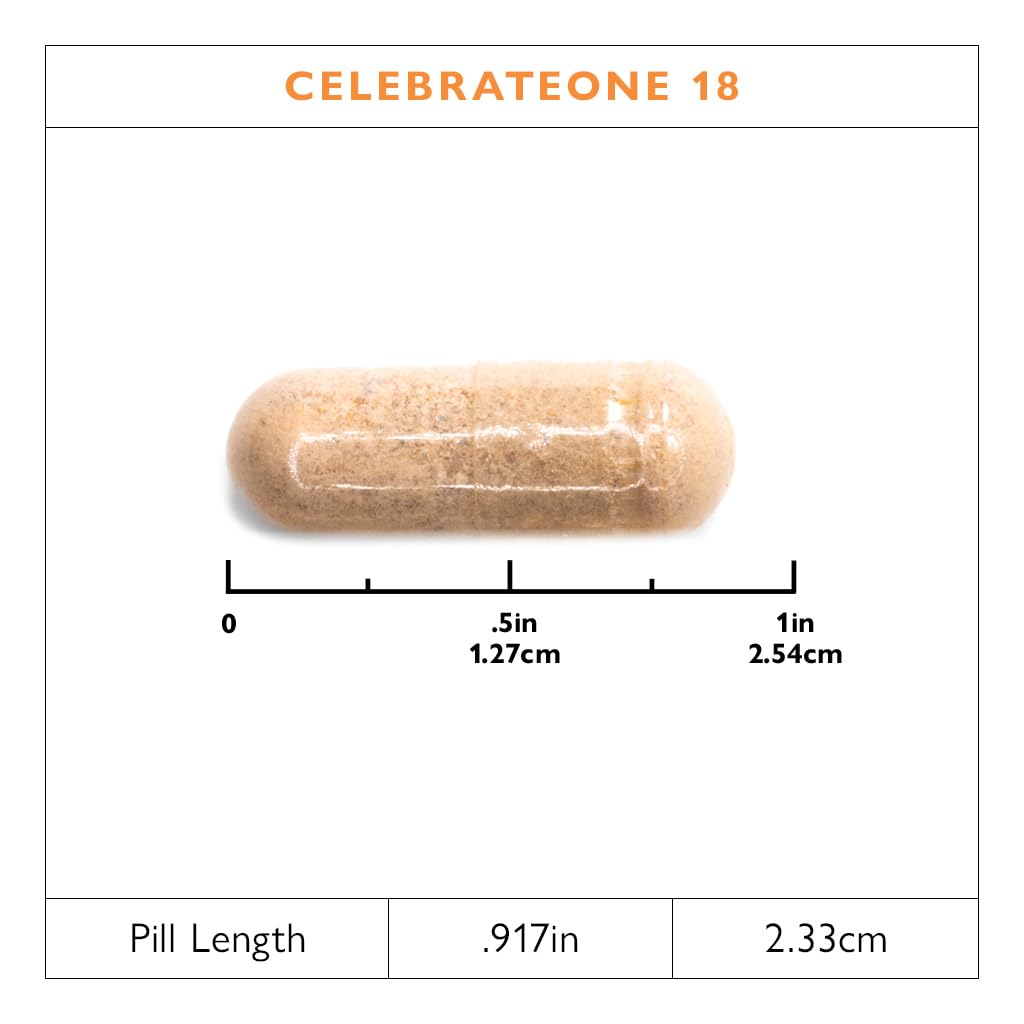 Celebrate Bariatric Supplements CelebrateONE 18, 18mg Iron Once Daily Bariatric Multivitamin, Essential Vitamins & Minerals - Gastric Bypass & Sleeve Gastrectomy, 30 Capsules