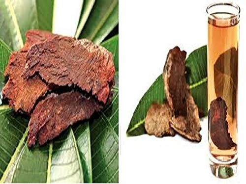 Aapkidukan Arjun ki Chaal Terminalia Arjuna Powder 15.87 oz