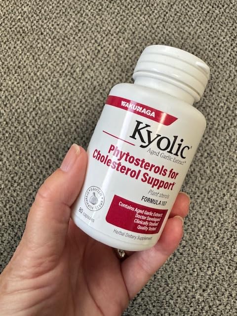 Kyolic Aged Garlic Extract Formula 107 80 Capsules