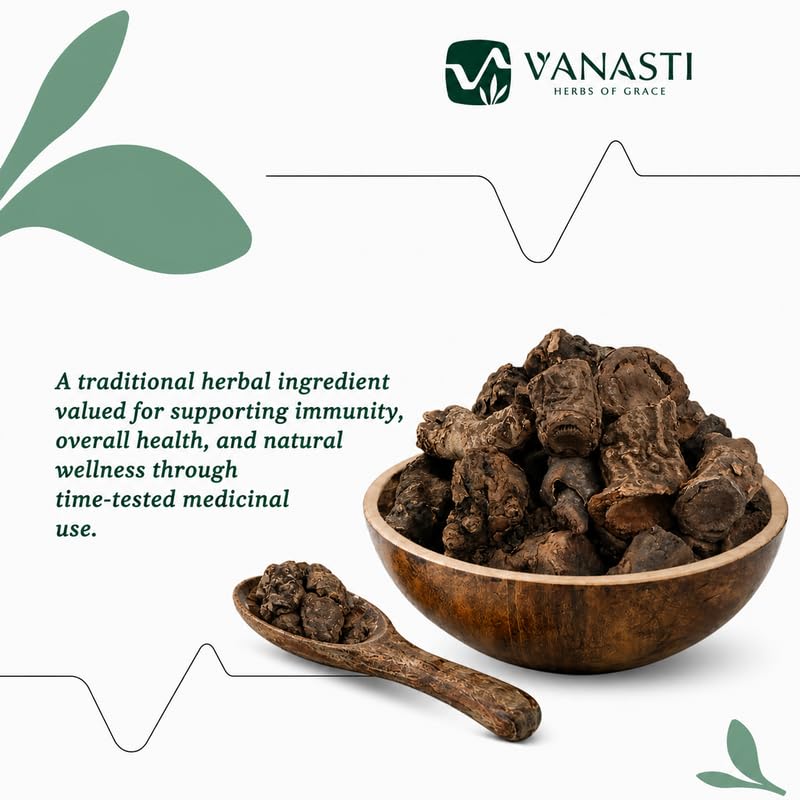 VANASTI Pakhanved Powder 28.21 Ounce