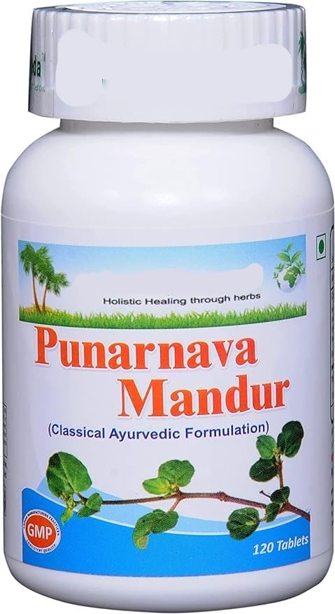 Generic Punarnava Mandur Ayurvedic Remedy Powder 120