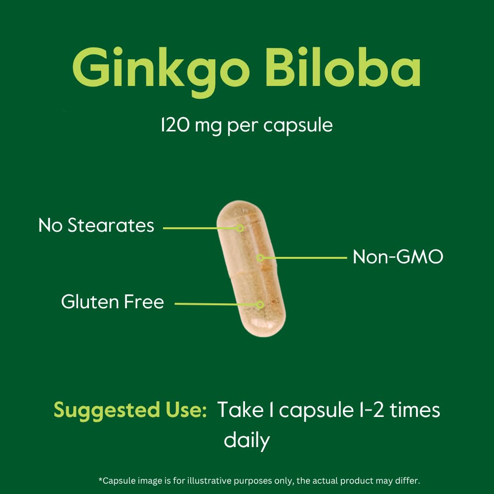 BESTVITE Ginkgo Biloba 120mg Capsules, 240 Count