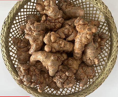 Bright sunlight Panax Notoginseng Sanqi Root Powder, 0.04 oz