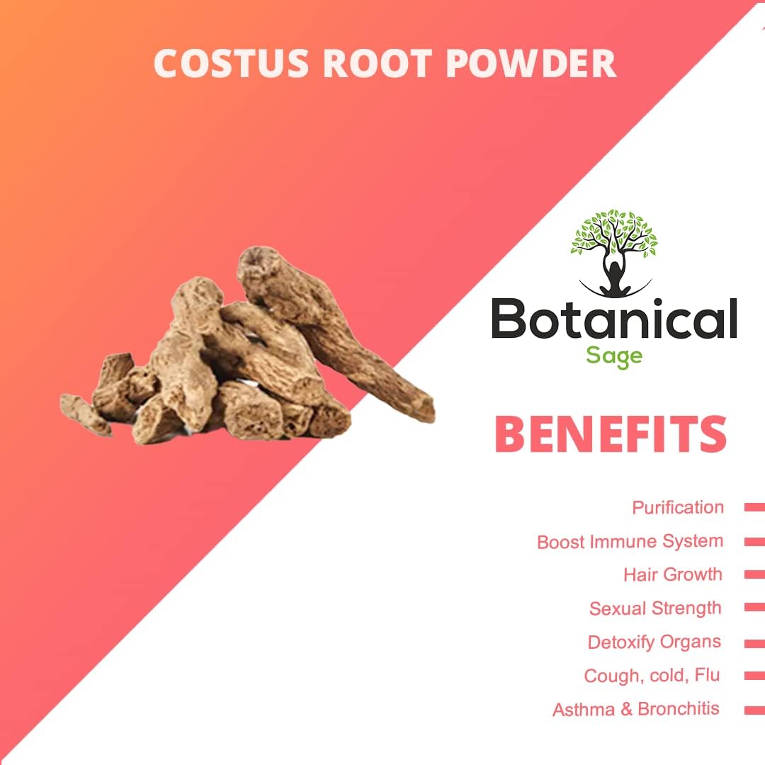 Generic Costus Root Powder 3.52 Ounce