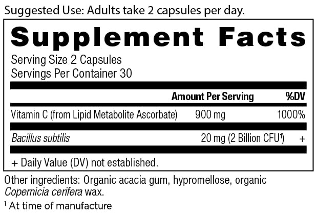 Ancient Nutrition Vitamin D Capsules, 60 Count