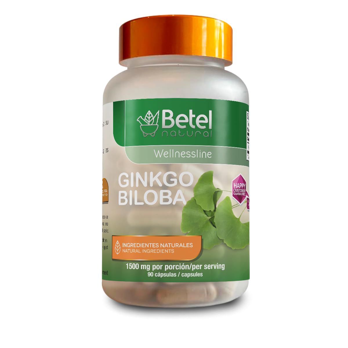 Betel Natural Ginkgo Biloba Capsule 1 Count