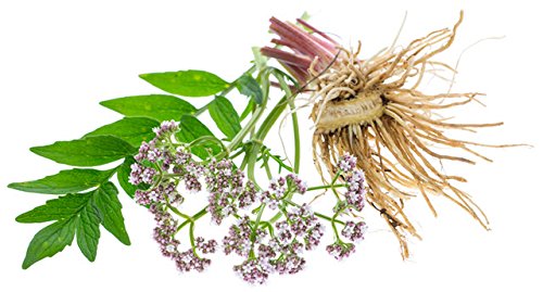 Maui Medicinal Herbs Valerian Root 60 Veggie Capsules