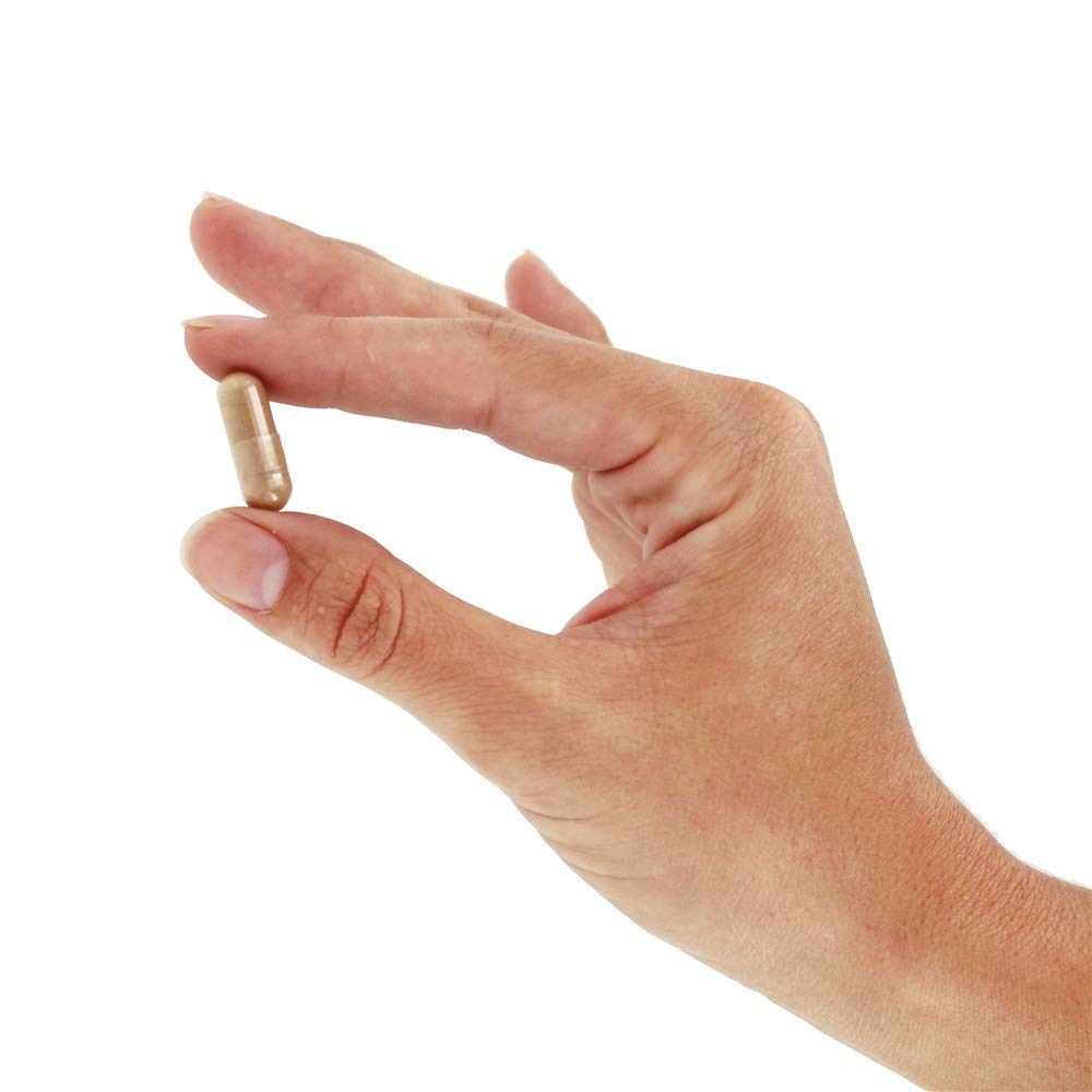 NOW Foods Cat's Claw 5000 120 Capsules