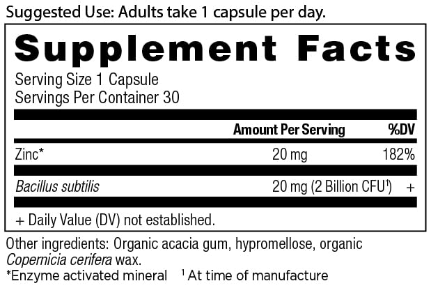 Ancient Nutrition Zinc + Probiotics Capsules, 30 Count