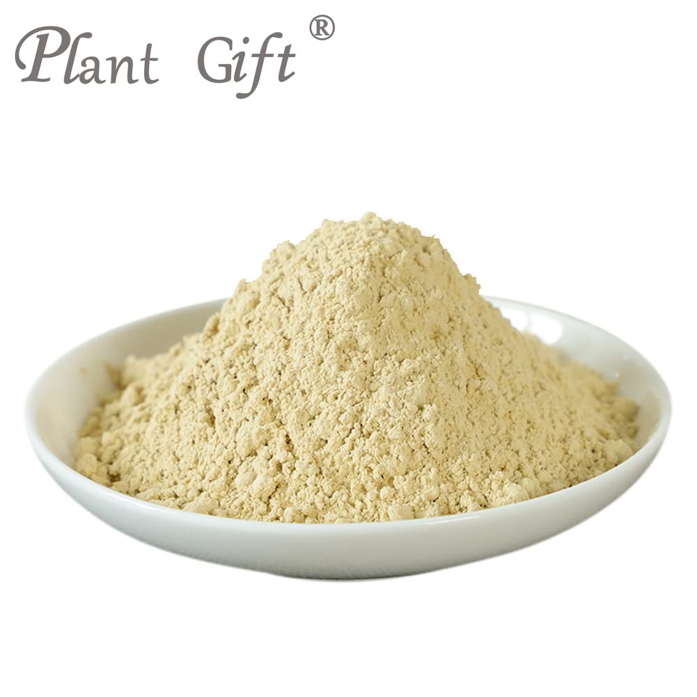Plant Gift Hericium Erinaceus Powder 3.53 oz