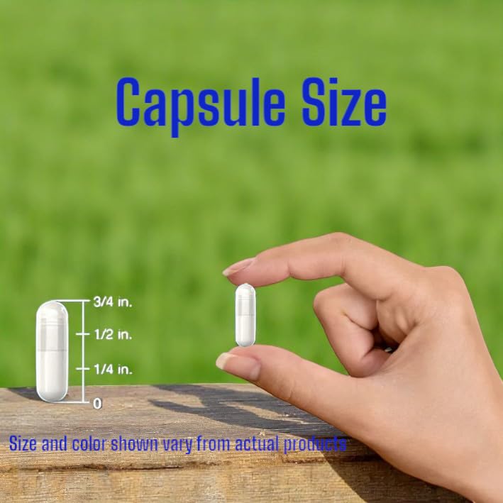 VitaCosmoX Diosmin Capsules 240 Count