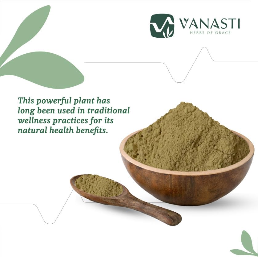 VANASTI Bhumi Amla Powder 3.52 Ounce