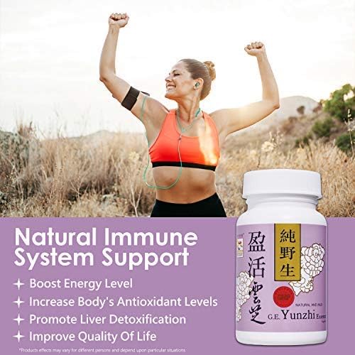 Vita Green Turkey Tail Mushroom 360 Capsules