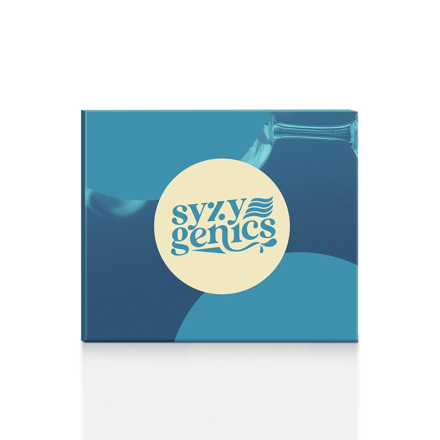 SYZY GENICS NAD+ Supplement Softgels 120