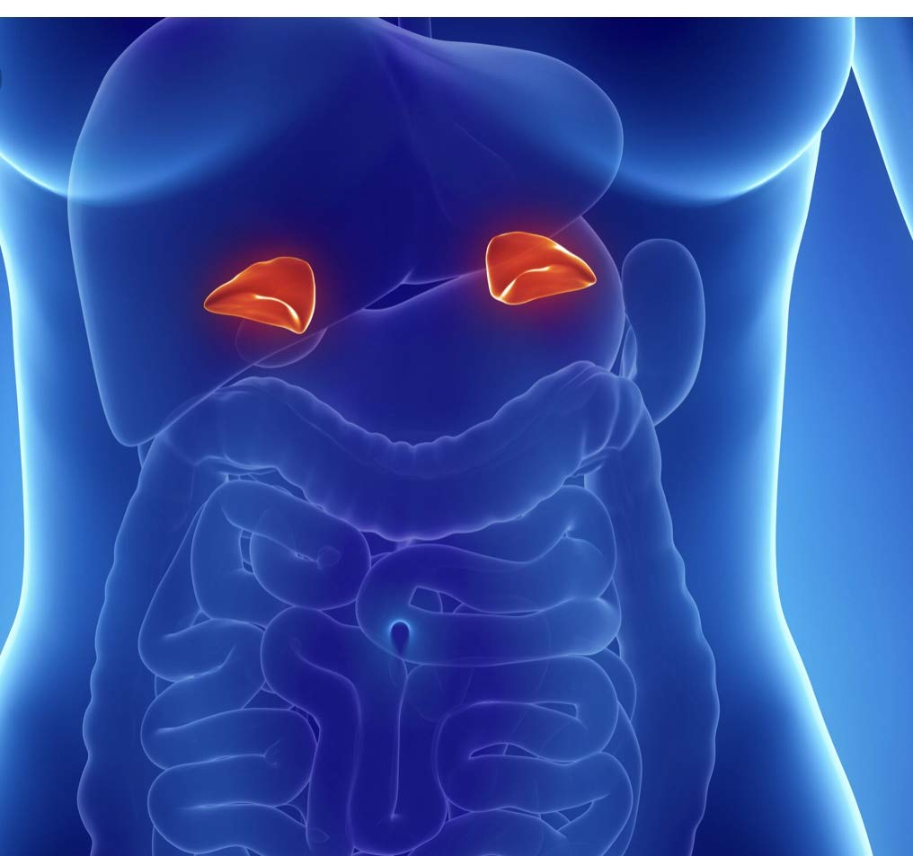 The One Minute Miracle Adrenal Essence Capsule 1 Count