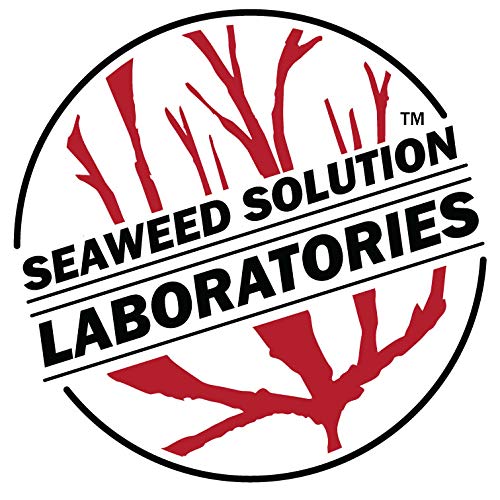 Seaweed Solution Laboratories Potato Dextrose Yeast Agar (PDY) Dehydrated Powder, 1.06 Ounce