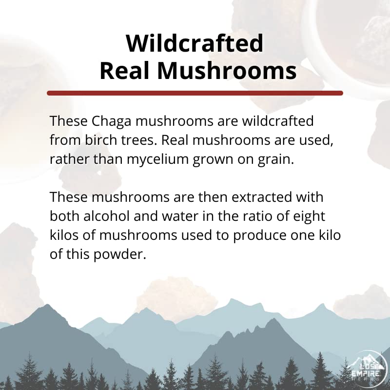 Lost Empire Herbs Chaga Mushroom Powder 8:1 Dual Extract from Real Mushrooms Not Mycelium, 1.0582 oz