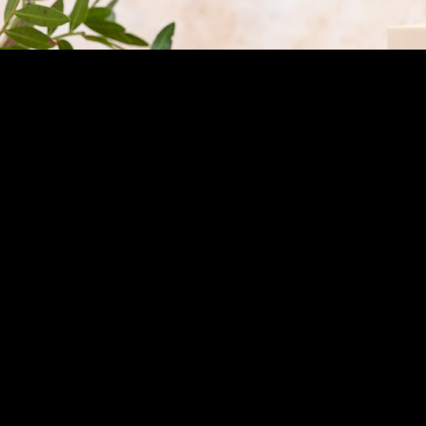 Nature's Sunshine Ashwagandha Capsules 60