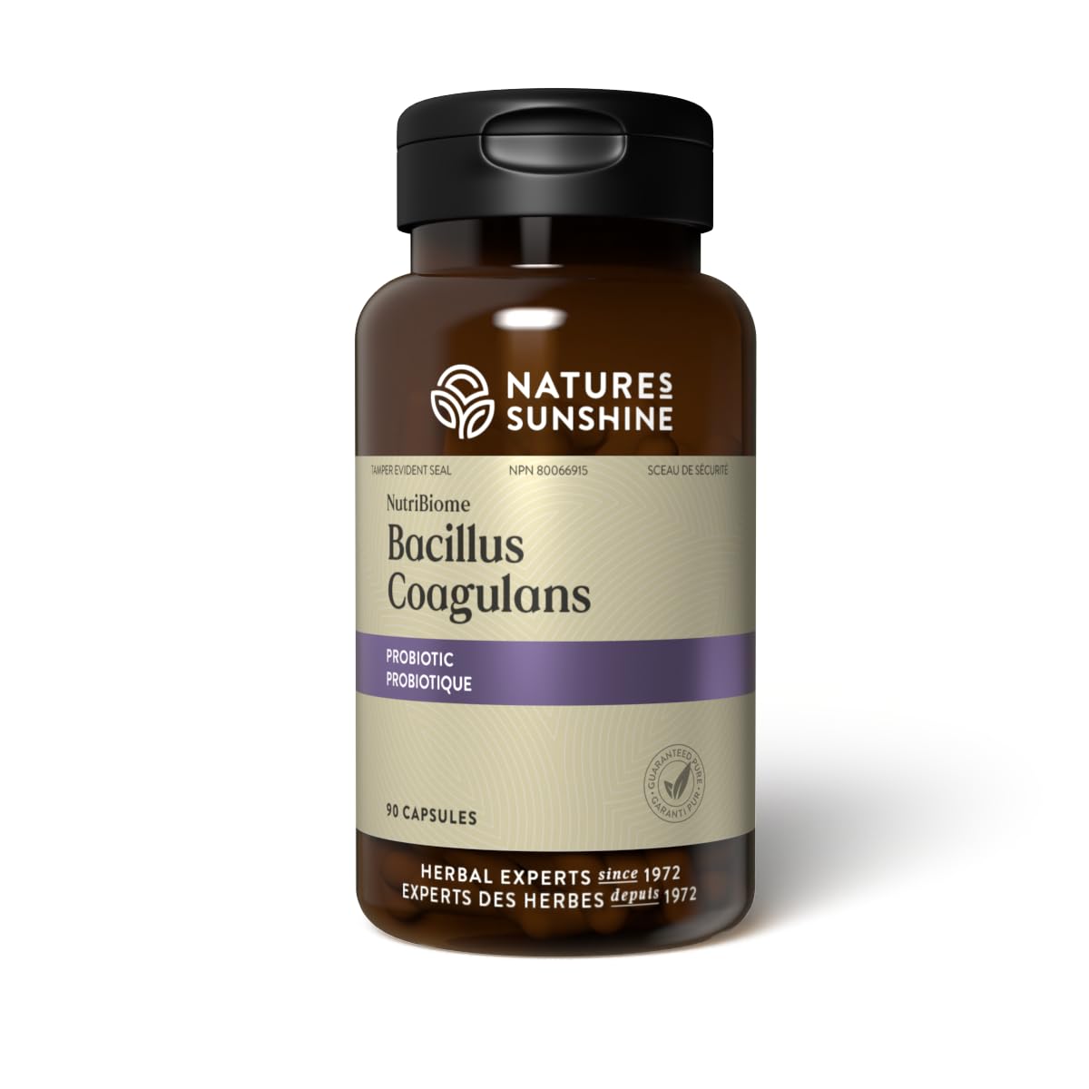 Nature's Sunshine Bacillus Coagulans NutriBiome 90 Capsules