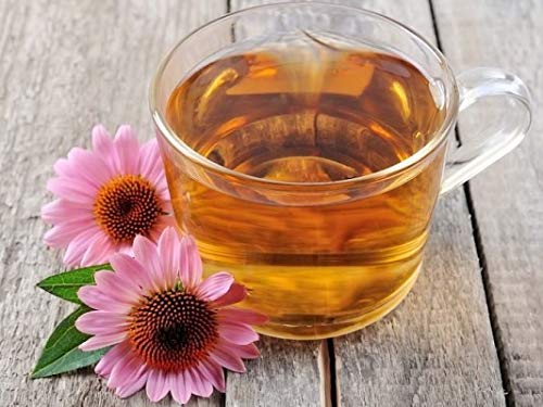 bodi Echinacea Purpurea Flower Leaf Powder, 16 oz