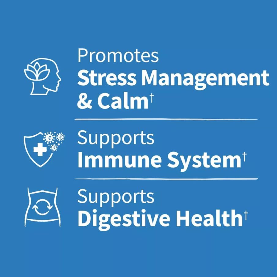 Garden of Life Probiotic Supplement Dr. Formulated Digestive + Stress Capsules, 30 Count