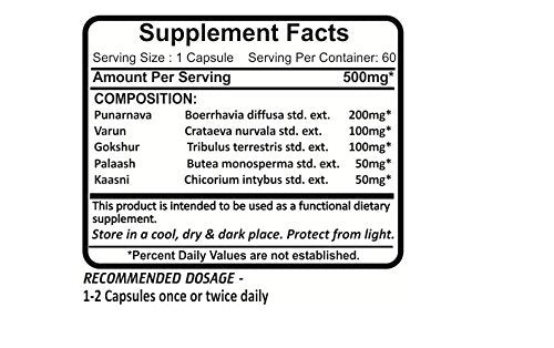 Planet Ayurveda Rencure Formula Capsule 120 Capsules