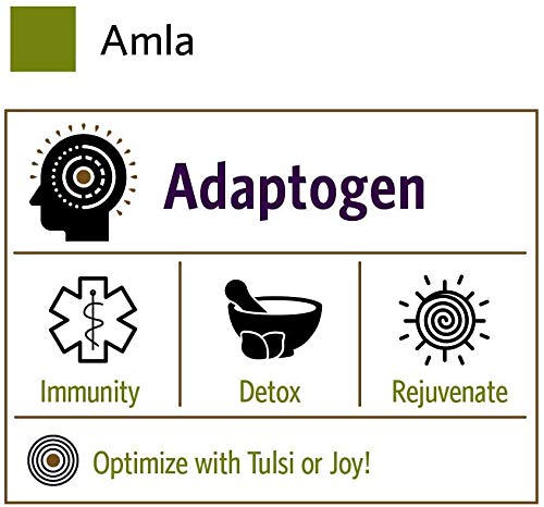 ORGANIC INDIA Amla Powder 16 oz