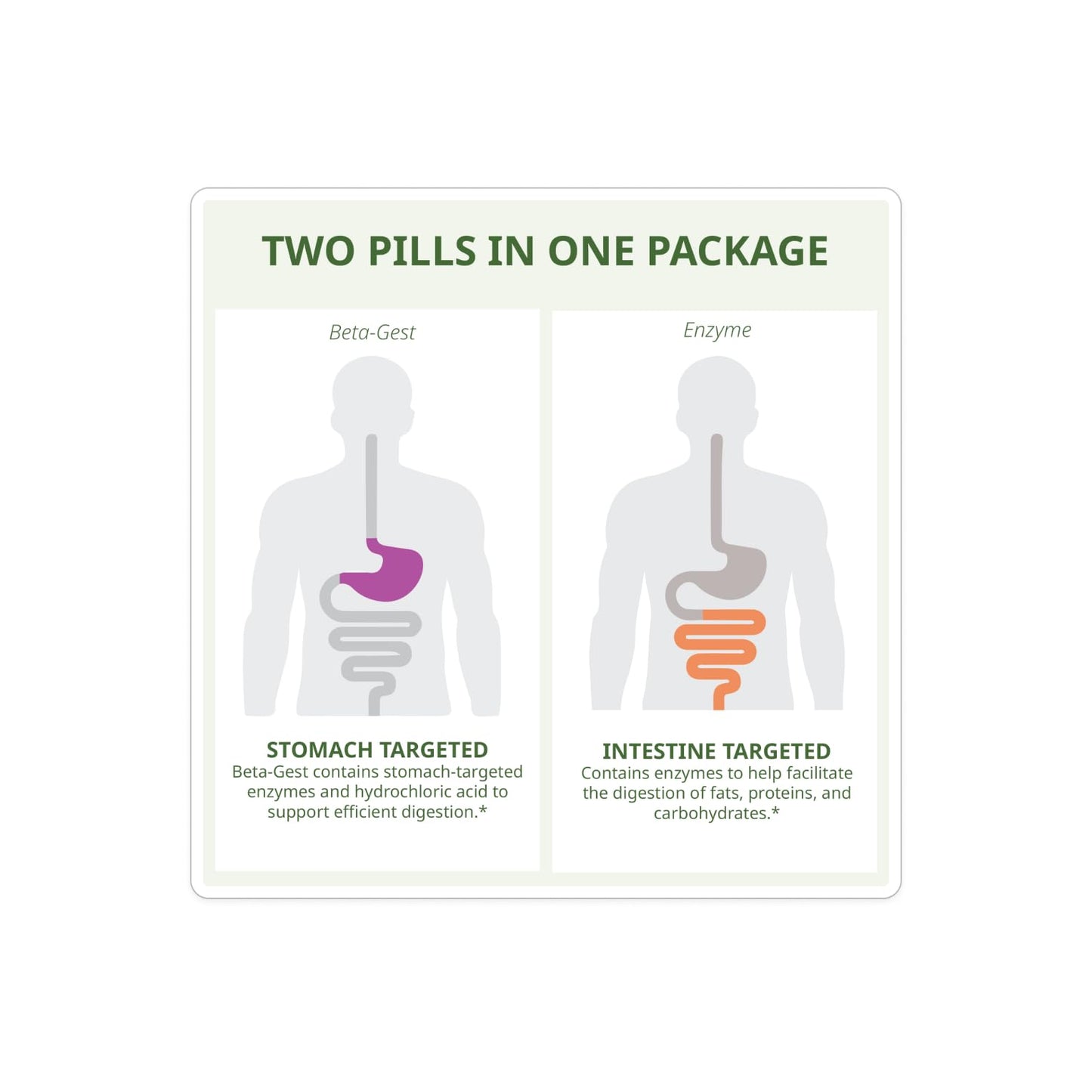 NeoLife Beta-Zyme Digestive Enzyme Blend Tablet, 30 Tablets