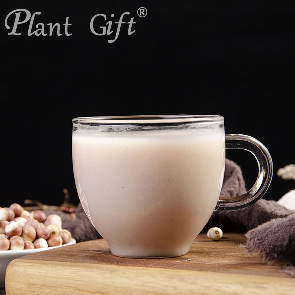 Plant Gift Euryales Semen Powder 3.53 oz