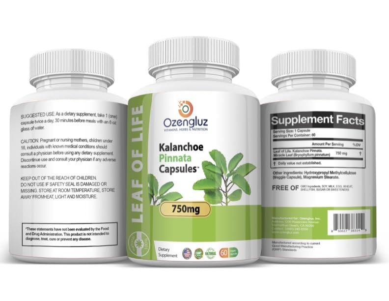 Ozengluz Kalanchoe Pinnata-Leaf of Life (Bryophyllum Pinnatum) 750 mg Capsule, 60 Count