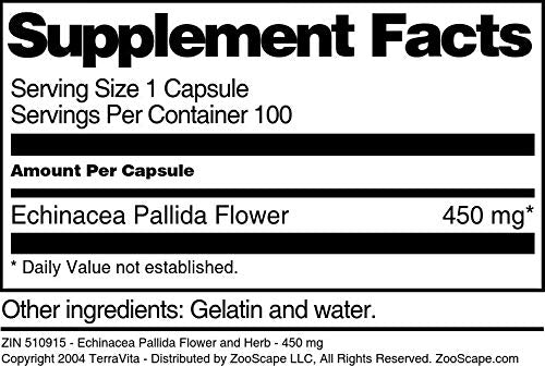 Terravita Echinacea Pallida Flower and Herb 450 mg Capsules, 100 Count