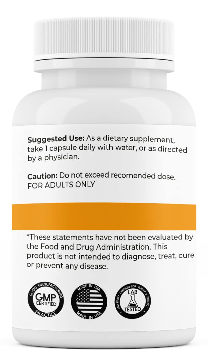 Supplement Outlet Store SOS L-Theanine Brain Support Focus Supplement 100mg Capsule, 120 Count