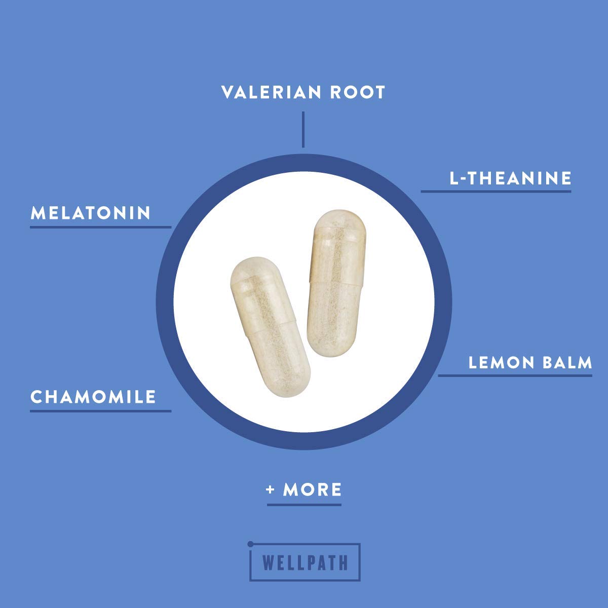 WellPath Rest Valerian Root Sleep Aid for Adults with Melatonin & L-Theanine Capsules, 60 Count