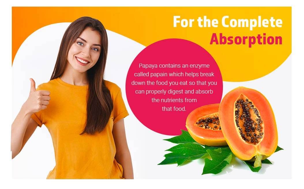 Generic Papaya Fruit Extract Powder