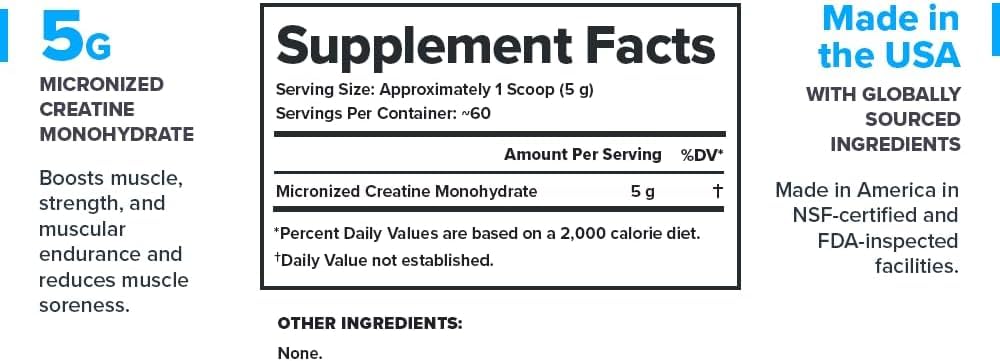 LEGION Micronized Creatine Monohydrate Powder, 60 Servings