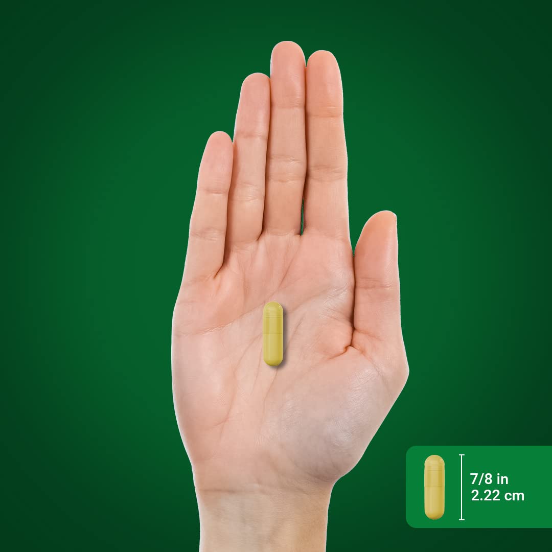 Piping Rock Turmeric Curcumin Supplement Capsule 240