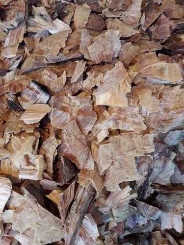 Trapat Cedar Wood Deodhar Powder 1.7637