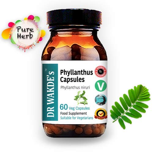 DR WAKDE's Phyllanthus Capsules, 1 Count