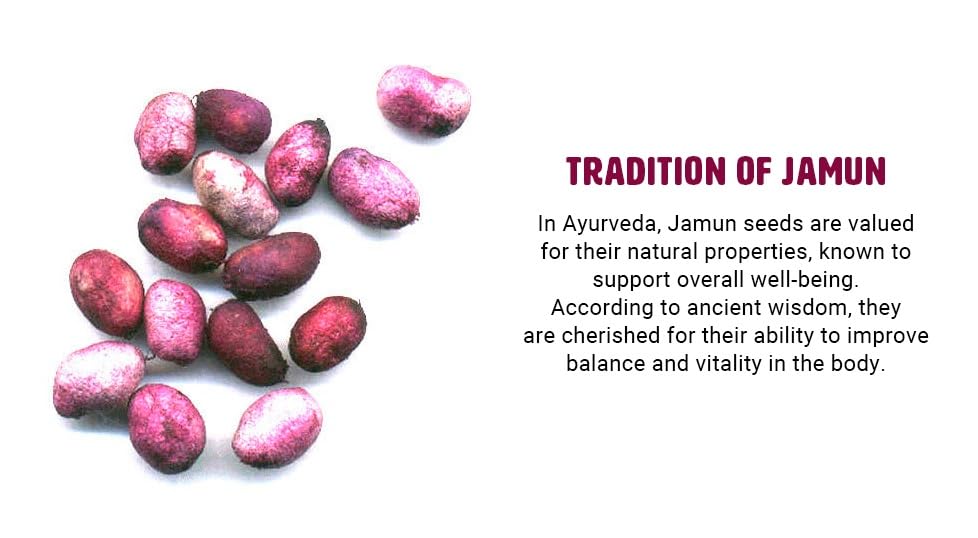 WAY 4 ORGANIC W4O Jamun Seed Capsules 1 Capsule