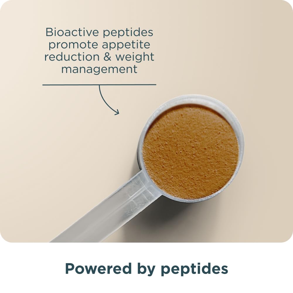 Ancient Nutrition Active Peptides Metabolism Powder, Bioactive Yeast Peptides with Cocoa & Citrus Extracts for Appetite & Metabolic Hormone Support, Non-Stimulant Weight Management Formula, Chocolate, 4.4 Ounce
