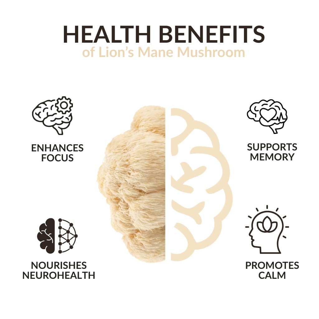 AROMAVITA Lion’s Mane Mushroom Extract 5200mg Capsule 1 Count