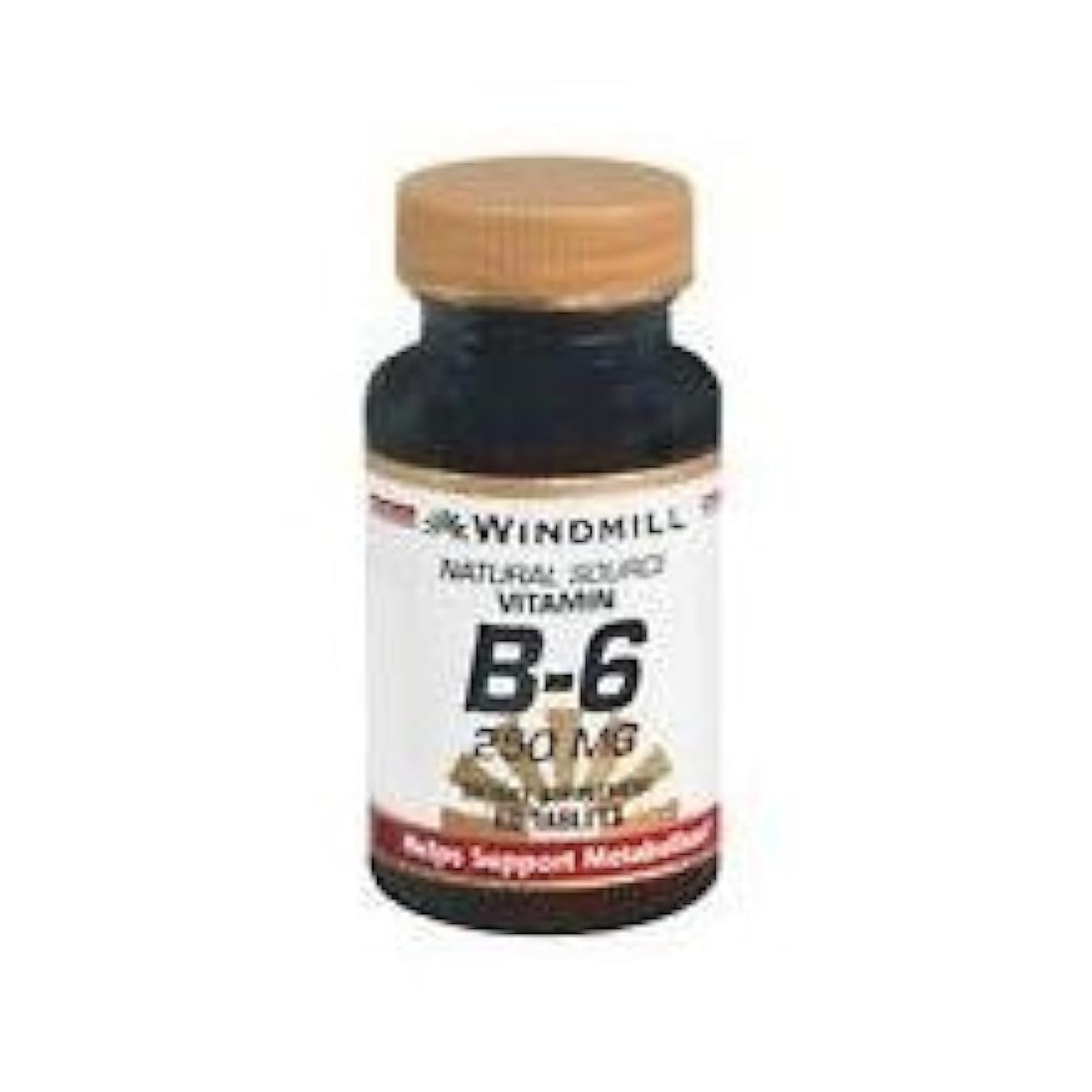 Windmill Vitamin B-6 100 mg Tablet, 100