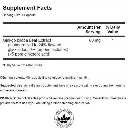 Swanson Ginkgo Biloba Extract 24% 60 mg Vegan Capsules, 240 Capsules