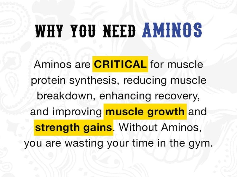 STRENGTH CARTEL Big Boy Amino Lemoncake Powder 11.32 oz