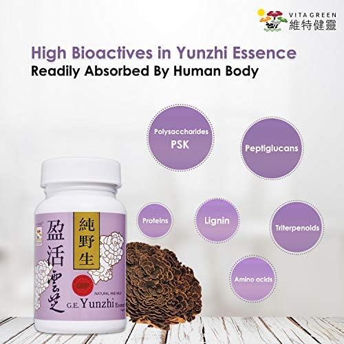 Vita Green Turkey Tail Mushroom 360 Capsules